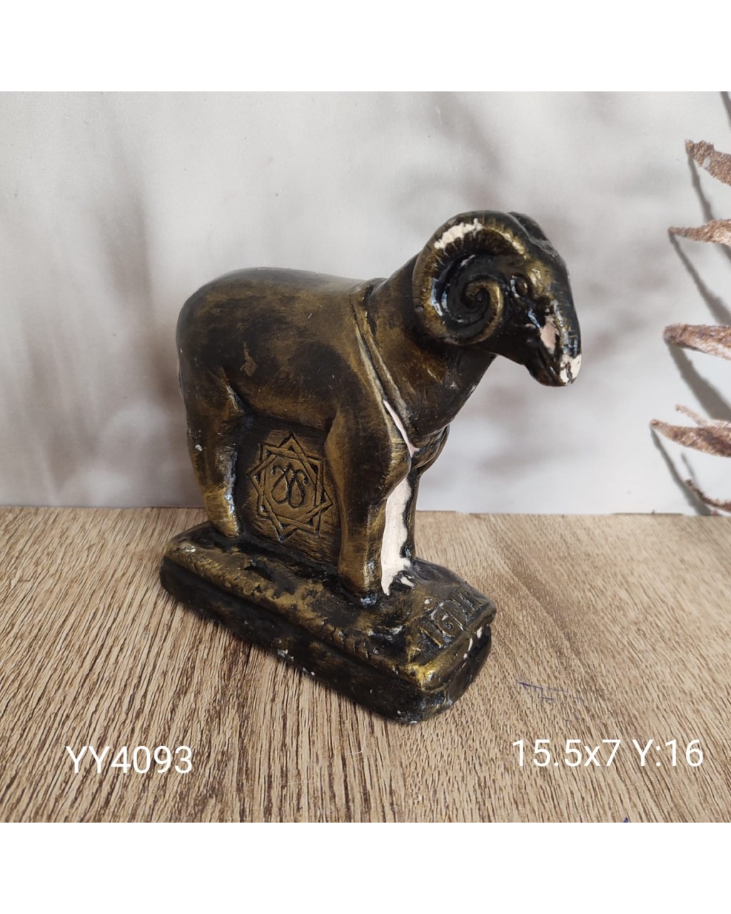 YY4093 Tarihi Koç Biblosu