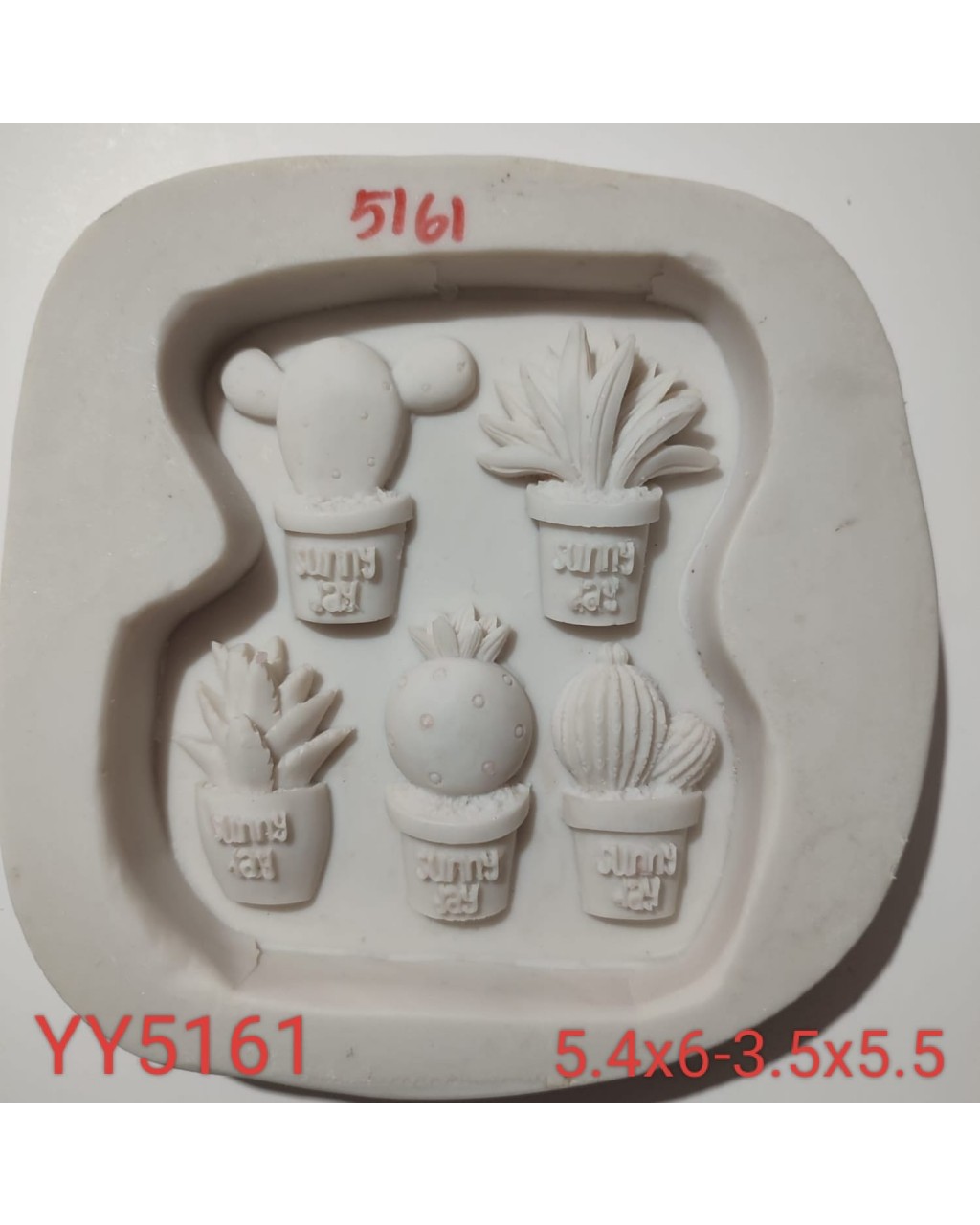 YY5161 - SAKSIDA KAKTÜSLER 5'Lİ - SİLİKON KALIP