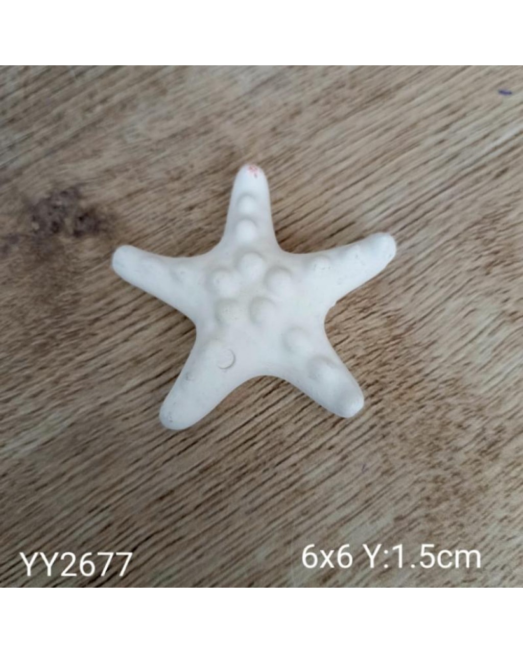 YY2677 DENİZ YILDIZI SİLİKON KALIP