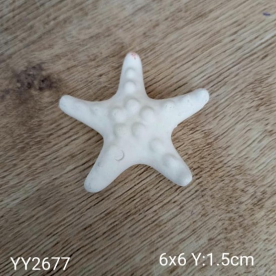YY2677 DENİZ YILDIZI SİLİKON KALIP