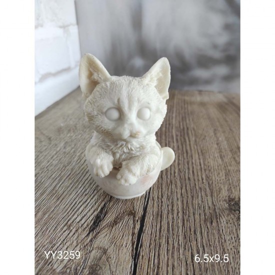 YY3259 Fincanda Kedi