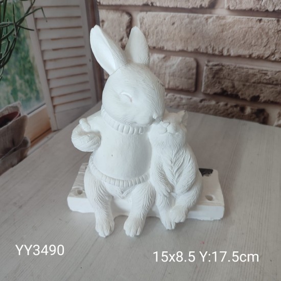 YY3490- Silikon Kalip