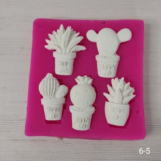 YY0172 Saksıda Kaktüsler Silikon Kalıp