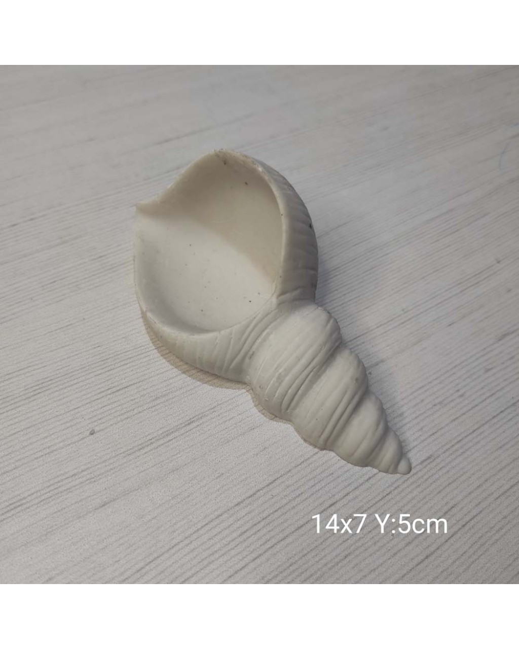 YY0923 Deniz Kabuğu Silikon Kalıp