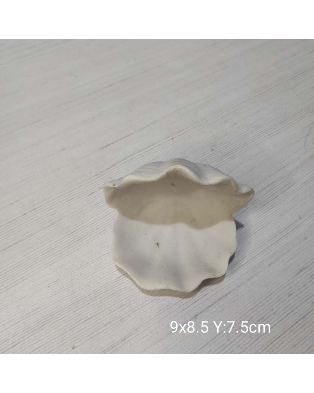YY0950 İstiridye Takılık Silikon Kalıp