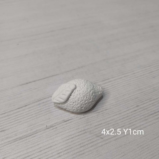 YY0973 Yapraklı Limon Silikon Kalıp