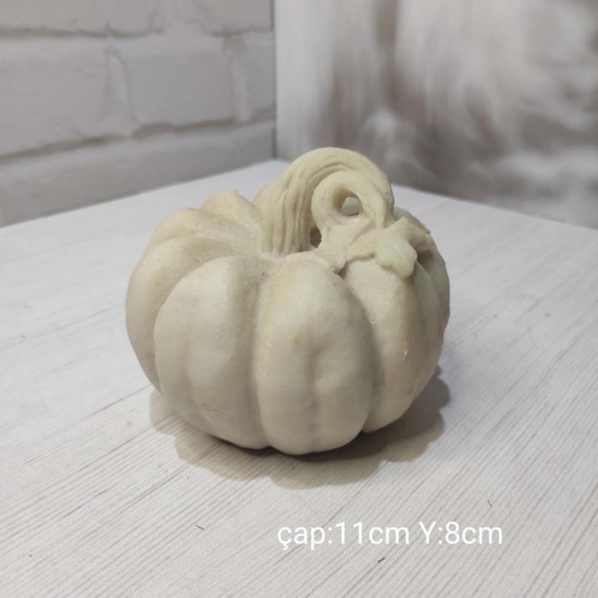 YY1475 Kabak Silikon Kalıp – Doğal ve Dekoratif Hediye!