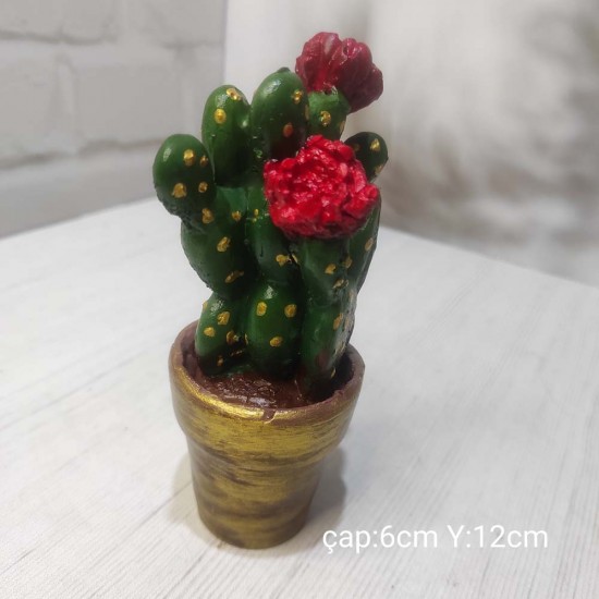 YY1742-Saksıda Kaktüs Uçları Çiçekli Silikon Kalıp