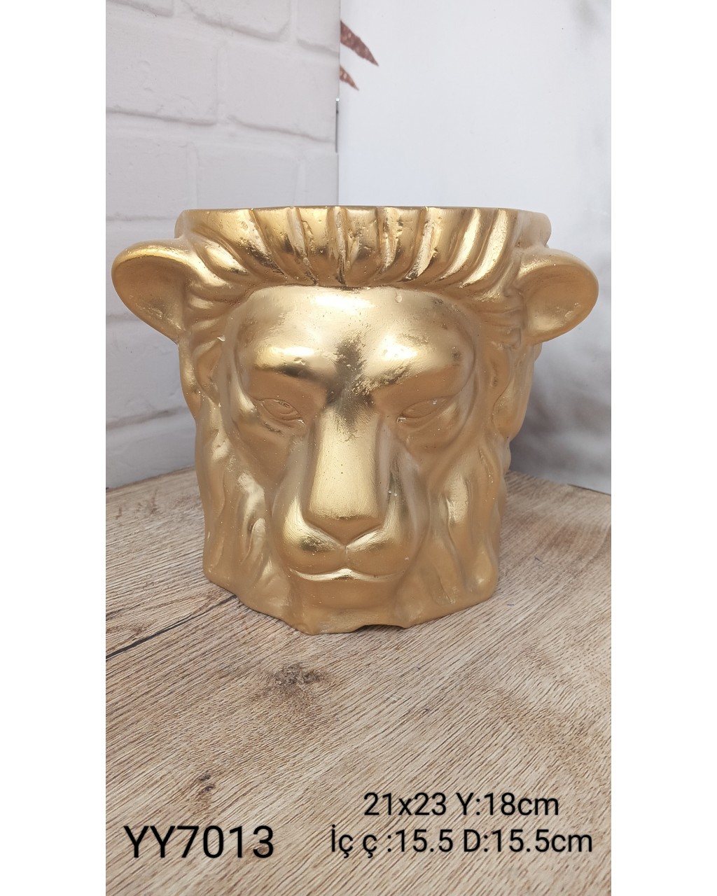 YY7013 ASLAN KAFASI SKSI SİLİKON KALIP